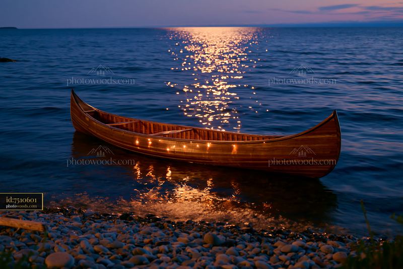 Starry night over a calm ocean with a canoe on the shore