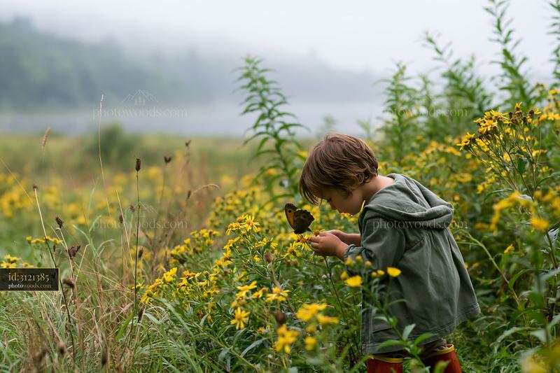 Child interacting with butterfly in wildflower meadow