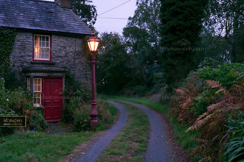 Cottage beside country lane with lamp on a quiet evening