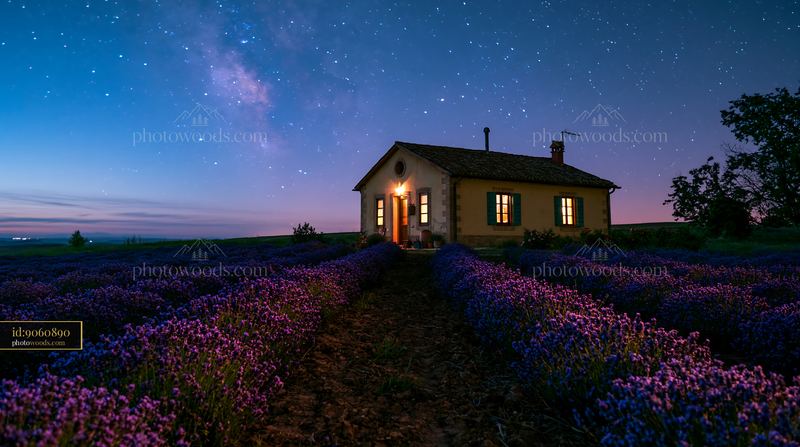 Country house surrounded by lavender fields and starry sky