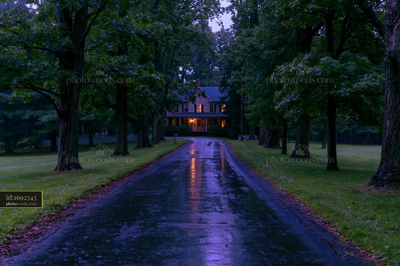 Farmhouse driveway lined with trees leading to a home