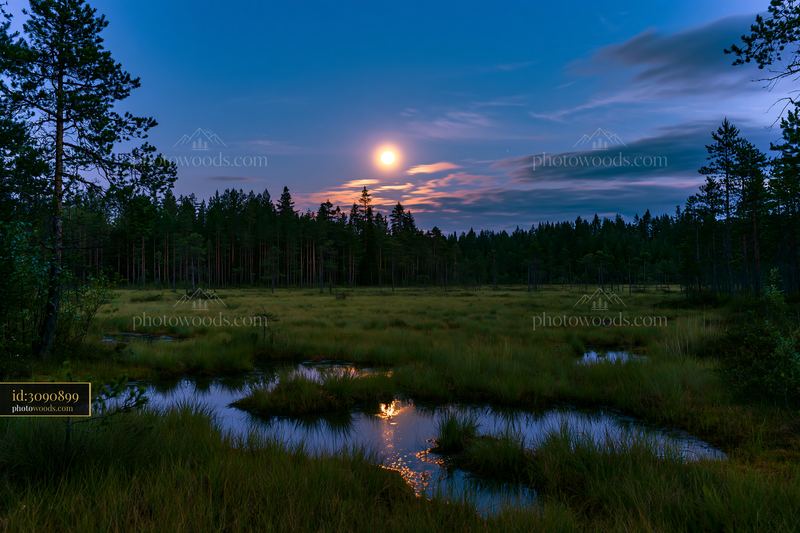Meadow beneath a full moon with moonlight reflecting on water
