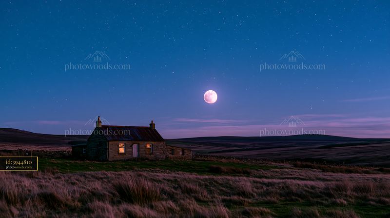 House beneath a full moon and stars in a quiet landscape