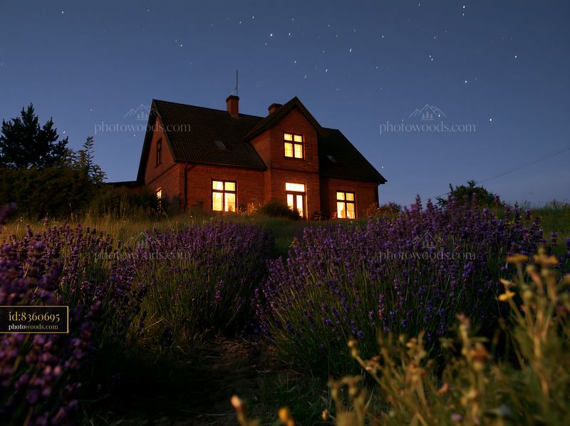 House beneath stars with foreground wildflowers