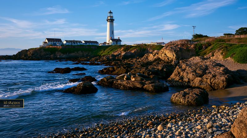 Lighthouse near seals on rocks at coastal shore
