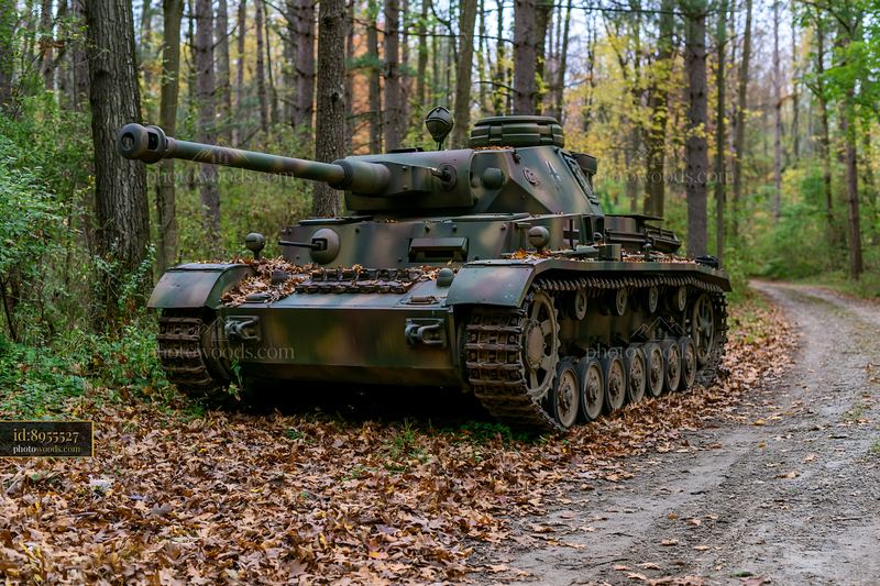 Panzer tank positioned in autumn forest along a dirt path
