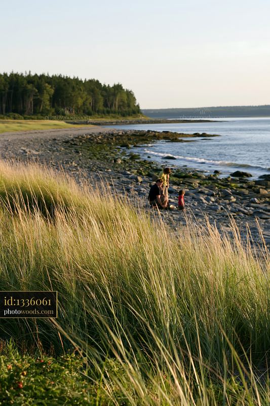 Meadow beside rocky shoreline with a parent and child exploring