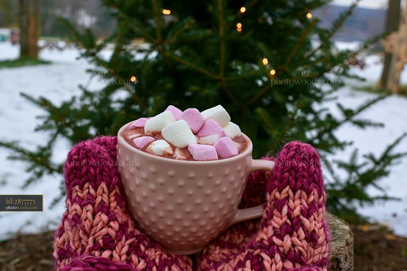 Warm cocoa with marshmallows held near tree in winter setting