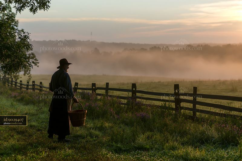 Fog drifting across meadow with person holding basket