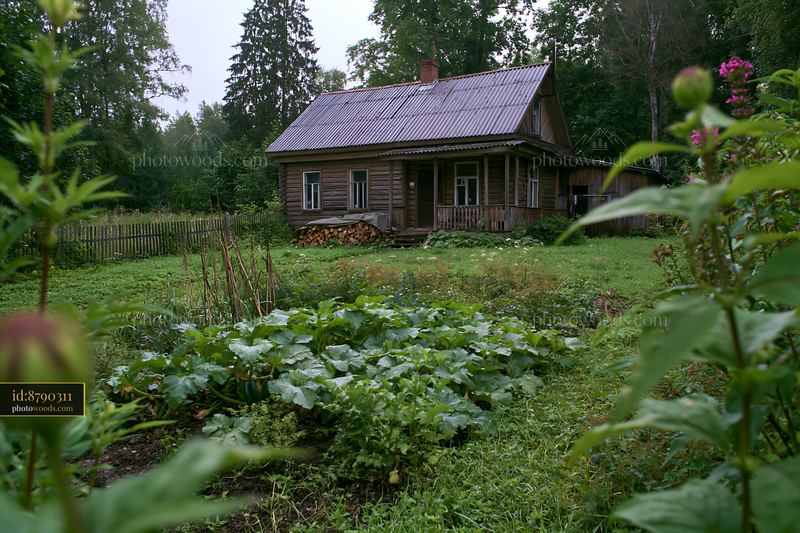 Rustic rural cottage with firewood stack and garden