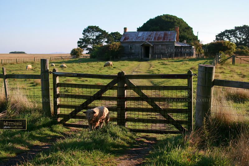 Rural cottage viewed through gate in open field