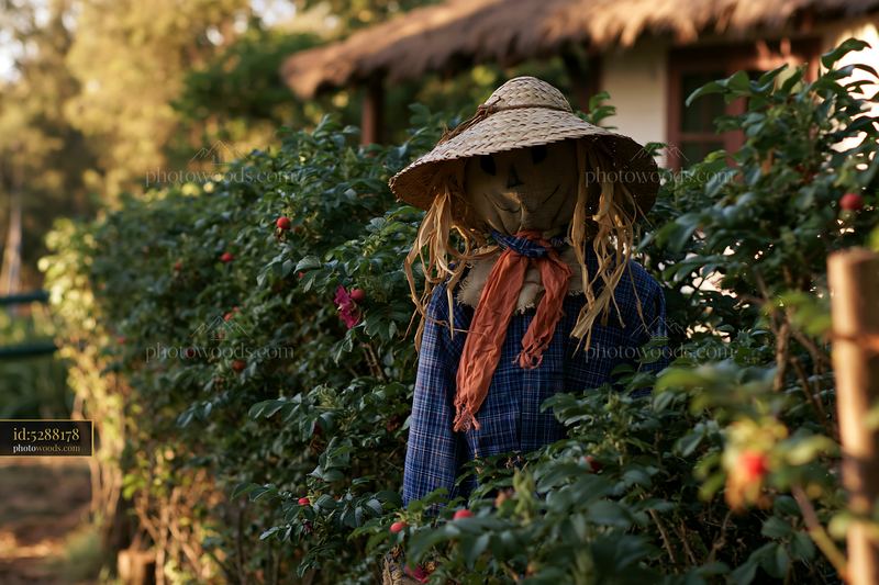 Rustic scarecrow beside a farmhouse in a garden