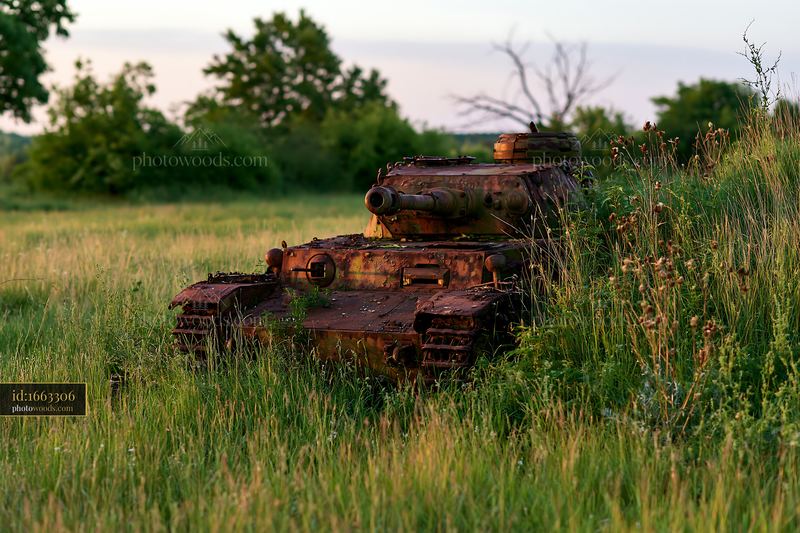 Panzer tank surrounded by grass at sunset in a field