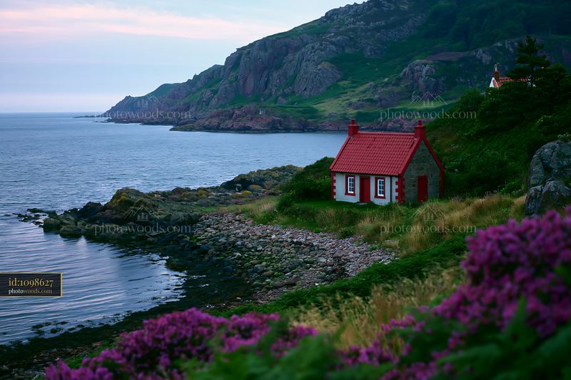 Sheltered bay coastline with cottage and blooming flowers