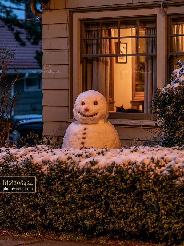 Snowman outside a cottage window with a cat inside