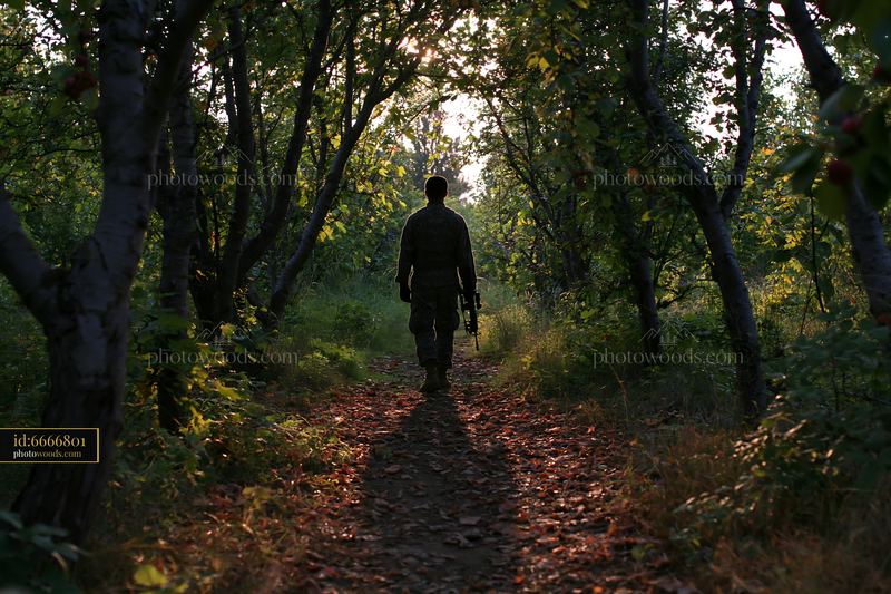 Soldier walking through forest casting shadow on the ground