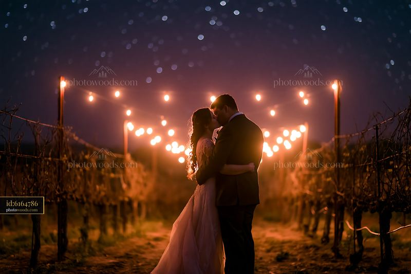 Wedding couple kissing under a star-filled sky in a vineyard