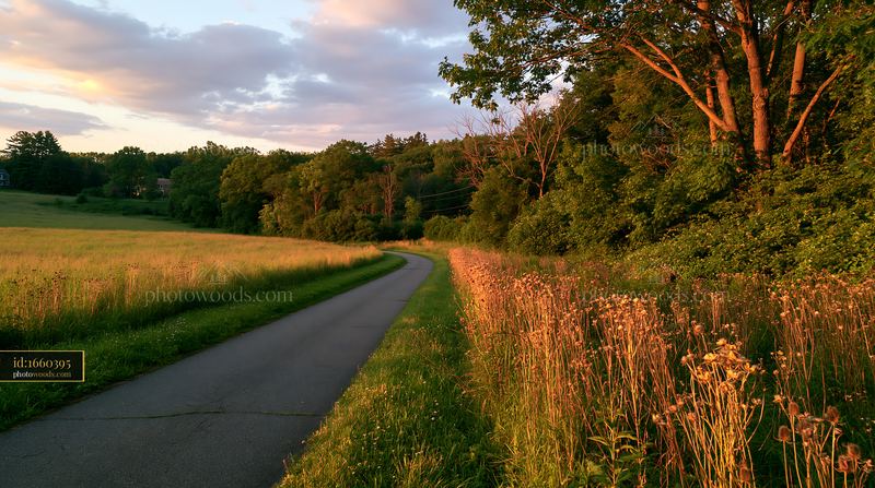 Sunset on a winding road by a meadow beside a rural road