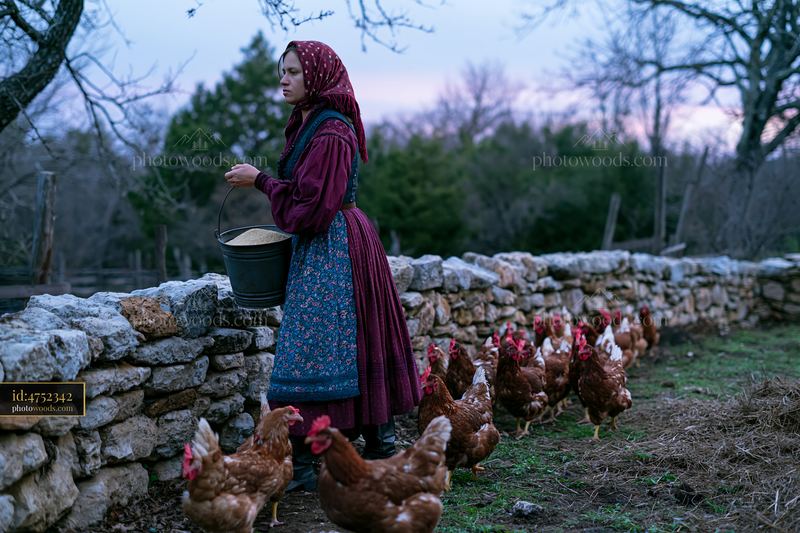 Woman in traditional attire feeding chickens on a farm