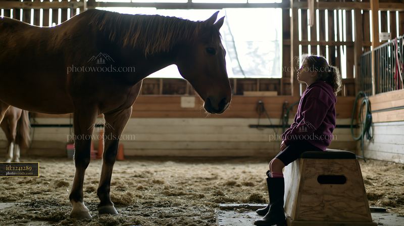 Therapy horse engages with young patient in a barn setting