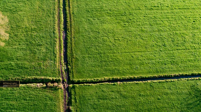 Meadow viewed from above with green grass and dirt paths