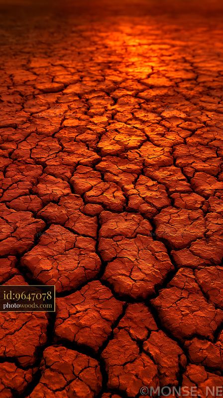 Cracked Dried Earth Surface Under Warm Light at Sunset
