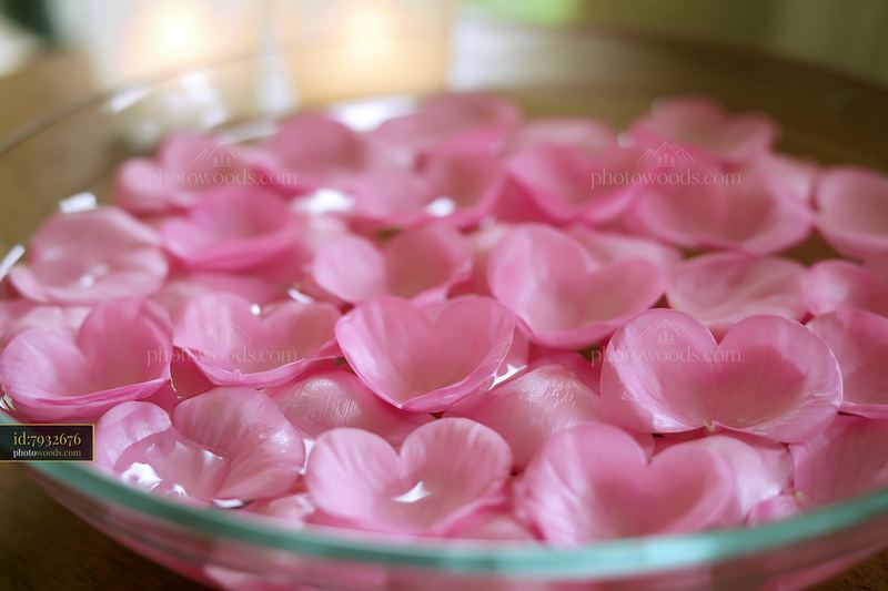 Heart-shaped pink flower petals floating in clear water bowl