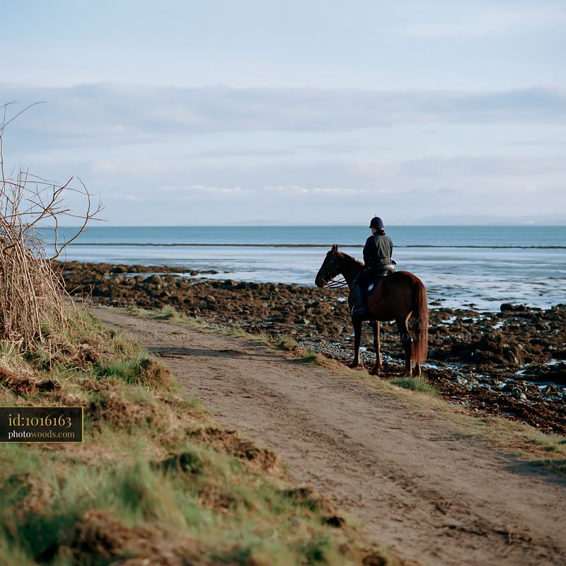 Mounted police officer and horse beside a coastal path