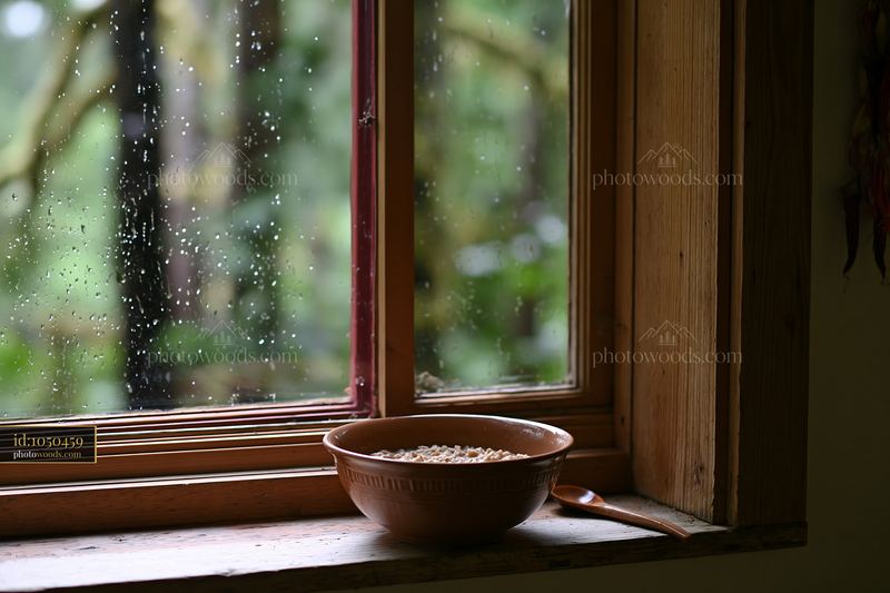 Rainy forest cabin interior with bowl by window