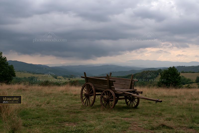 Storm clouds over meadow with wooden cart in rural landscape