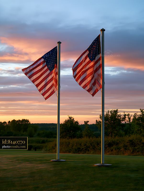 Sunset view of US flags waving in the wind
