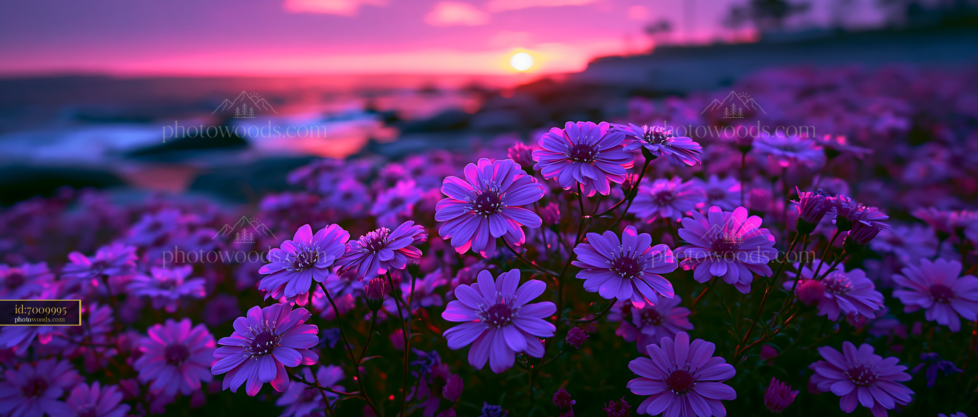 Flowers Bloom at Seaside During Sunset With Purple Sky and Waves
