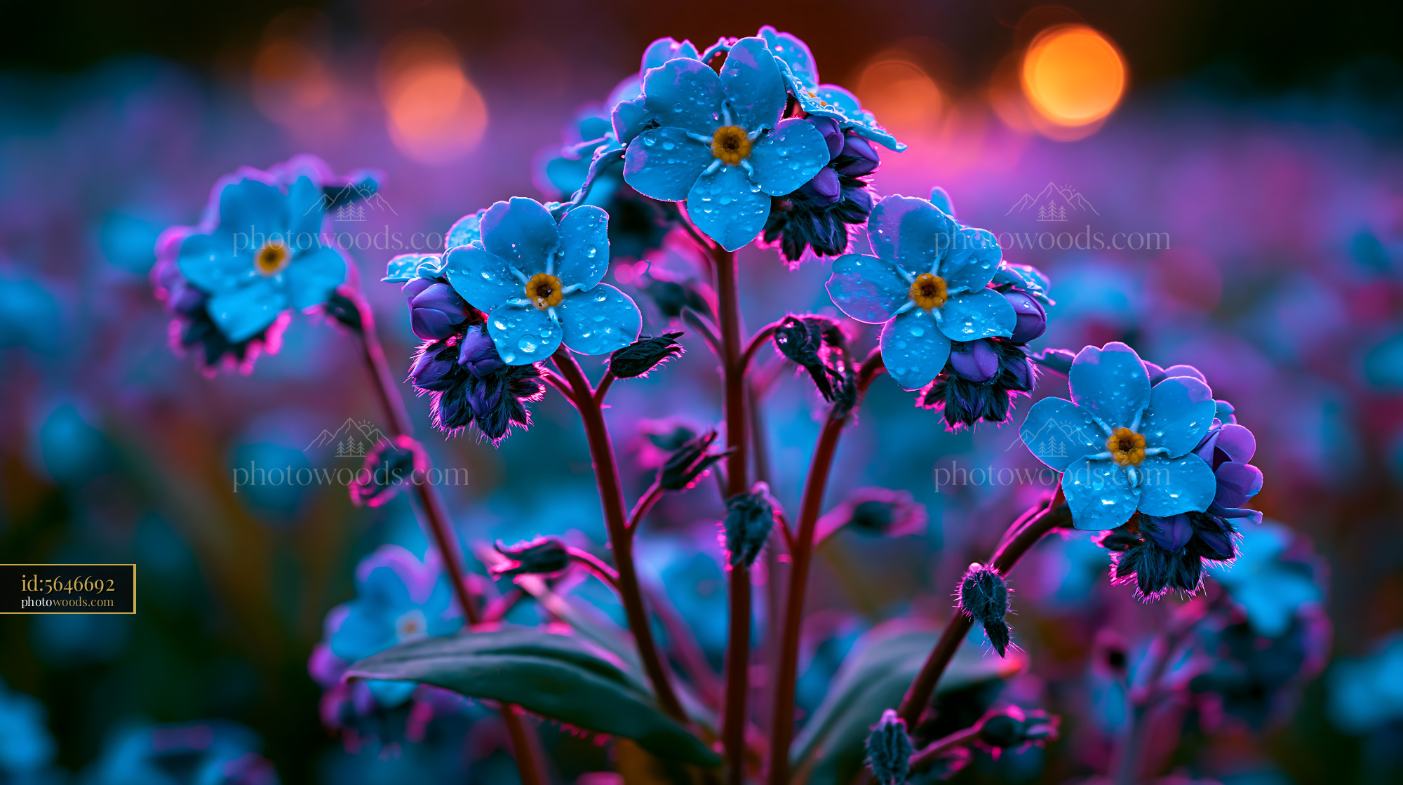 Blue Flowers With Water Droplets in a Colorful Garden Setting