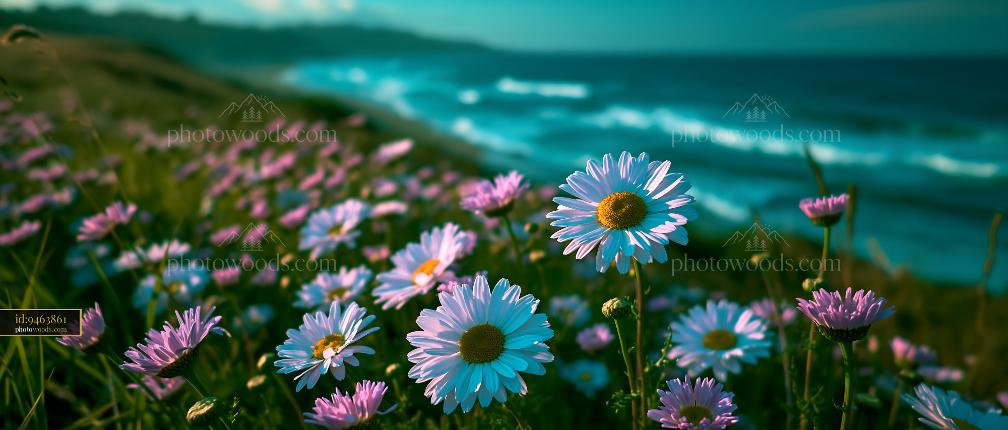 Flowers Bloom Near Ocean Waves Under Bright Sky