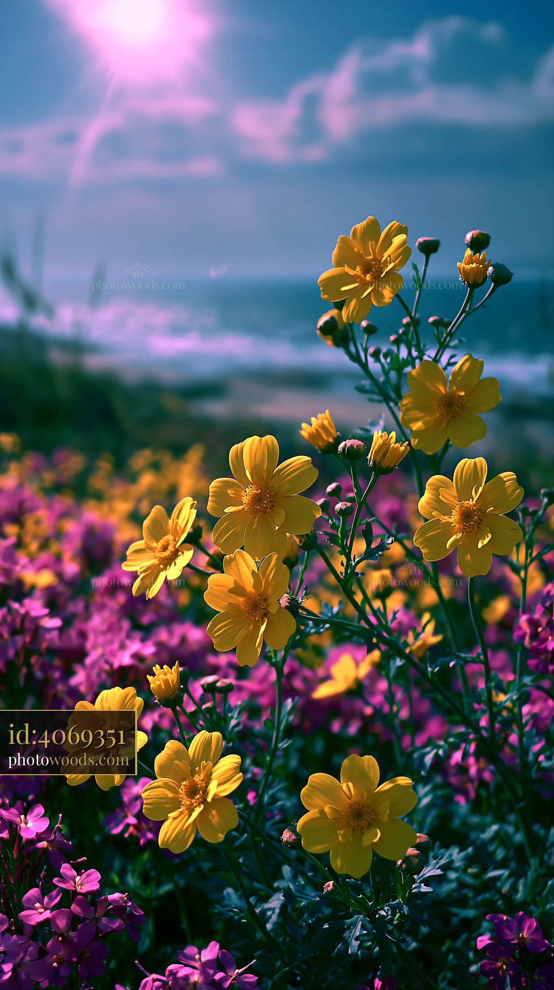 Flowers Bloom in Field Near Ocean Under Blue Sky