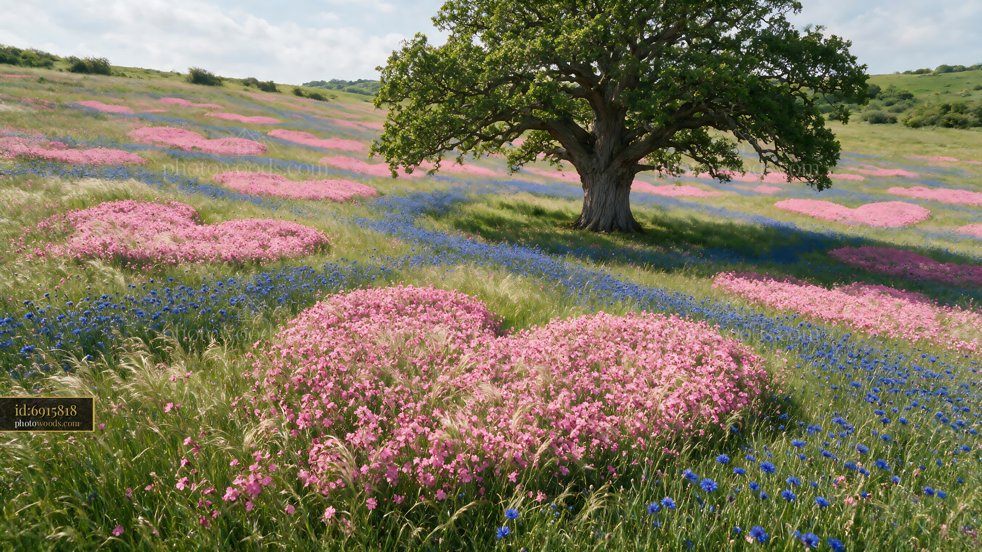 Wildflowers Blooming Under a Tree in an Open Meadow