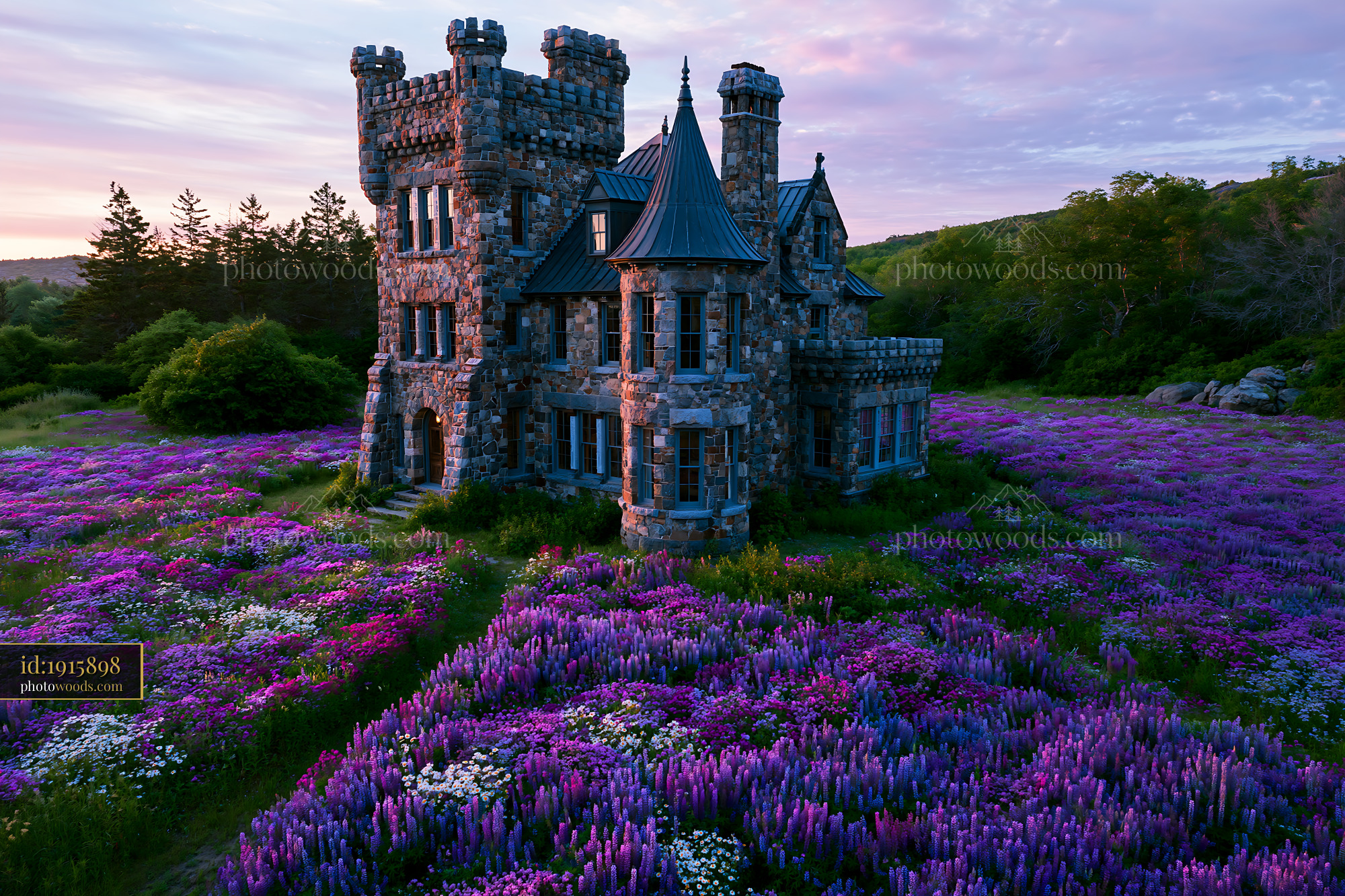 Stone Castle Surrounded by Purple Flowers at Sunset
