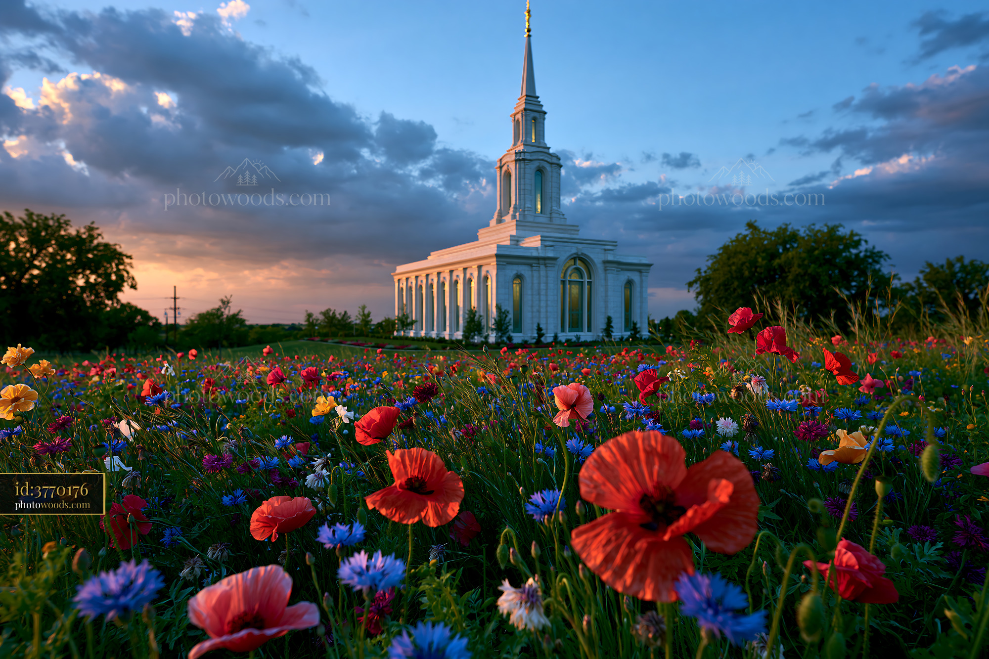 Church Surrounded by Wildflowers During Sunset in Fairview