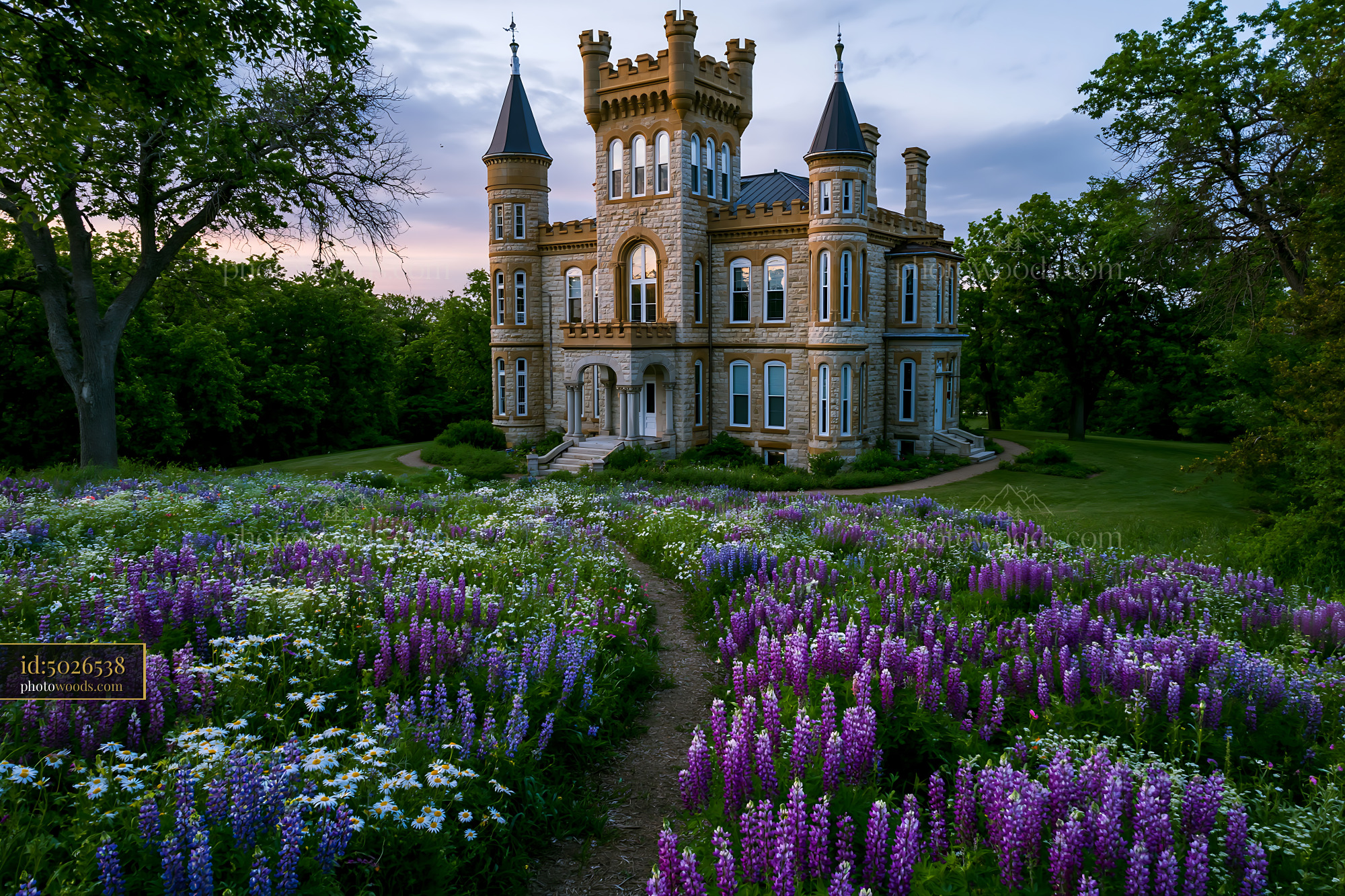 Historic Mansion Surrounded by Blooming Wildflowers in Spring