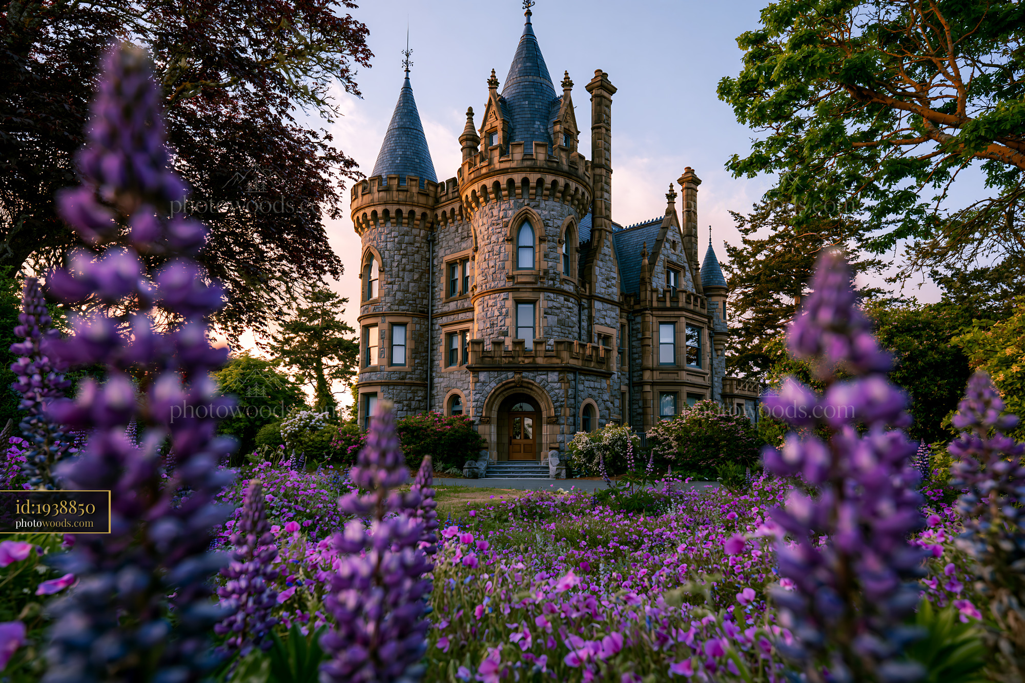 Historic Mansion Surrounded by Purple Flowers in Spring