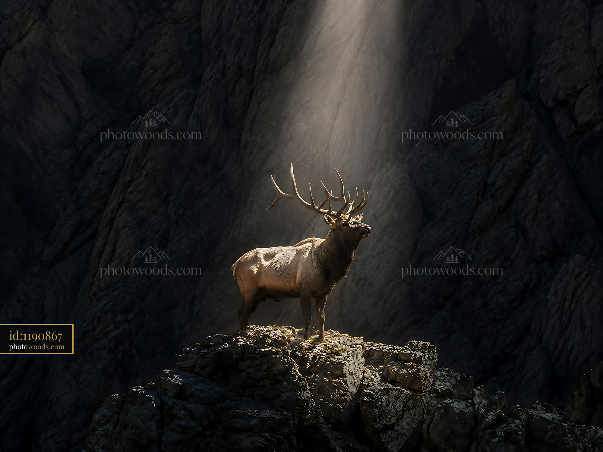 Deer Standing on Rock in Mountain With Light Shining Down