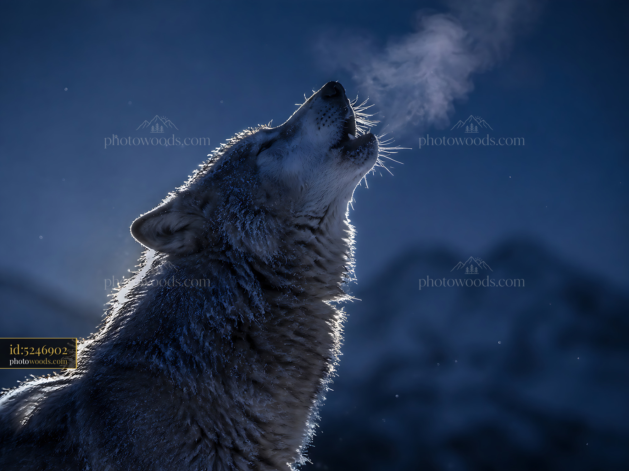Wolf Howls at Night Under Cold Moonlight in Snowy Landscape