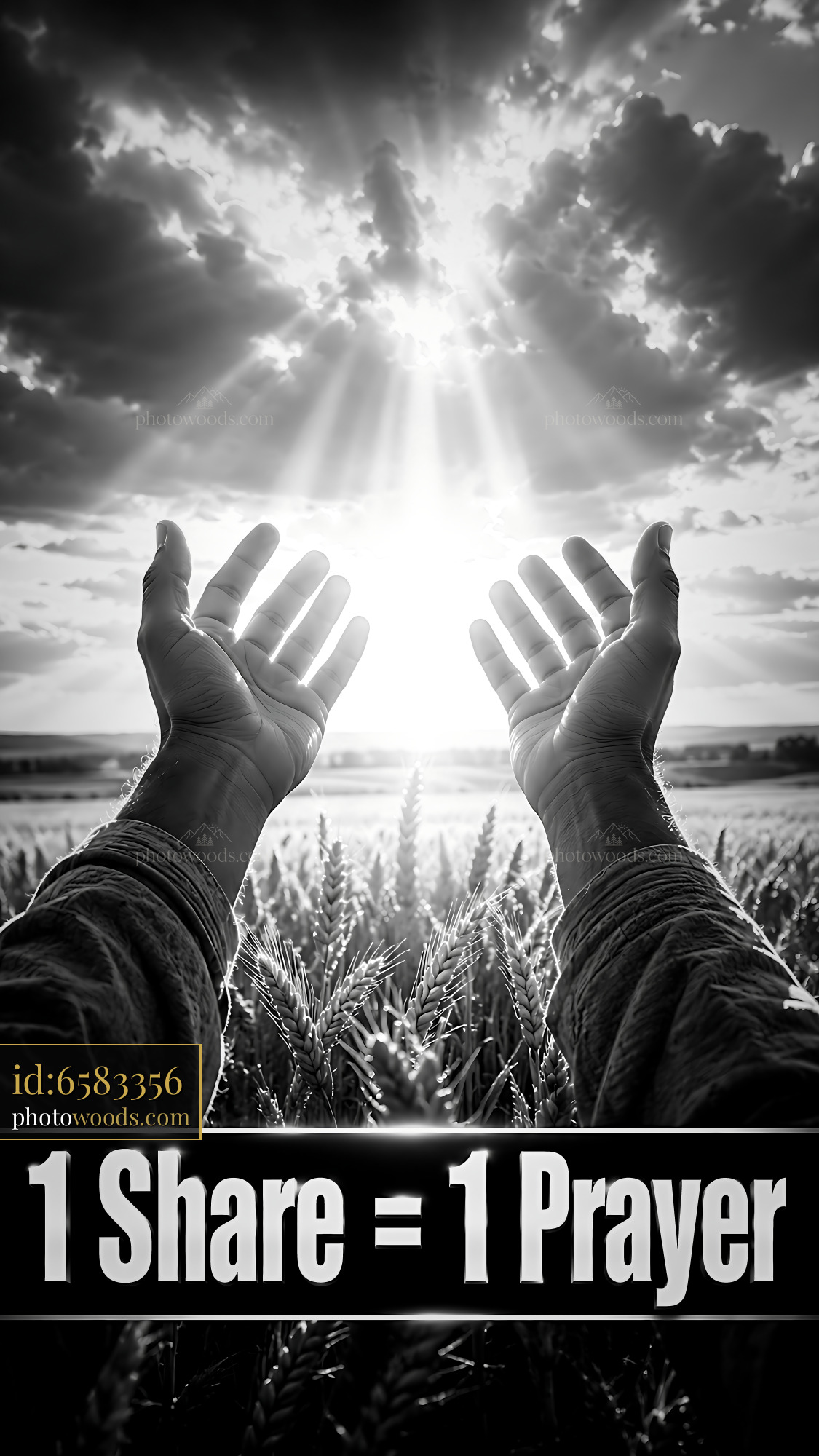 Hands Raised to the Sky in Wheat Field Under Dramatic Clouds