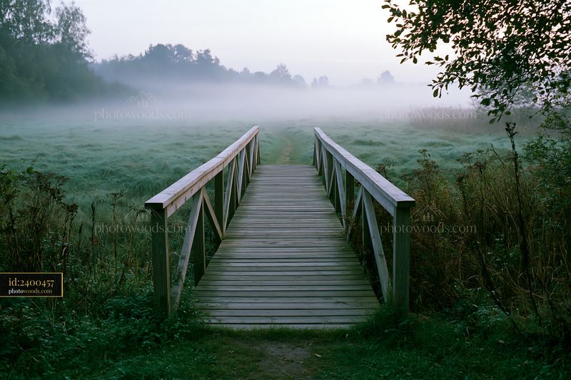 Wooden footbridge leads through a foggy meadow bordered by trees and tall grass.